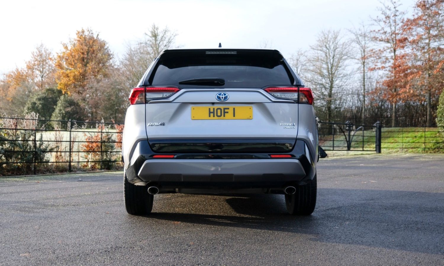 2021 Toyota RAV4 2.5 VVT-i Hybrid Dynamic 5dr CVT for sale at Hofmanns