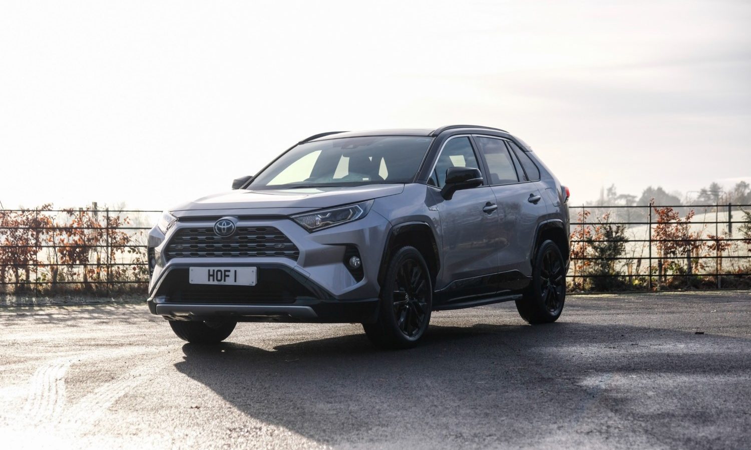 2021 Toyota RAV4 2.5 VVT-i Hybrid Dynamic 5dr CVT for sale at Hofmanns