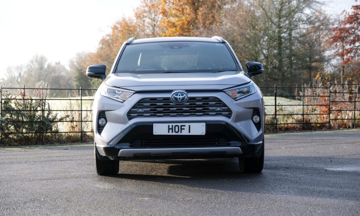 2021 Toyota RAV4 2.5 VVT-i Hybrid Dynamic 5dr CVT for sale at Hofmanns