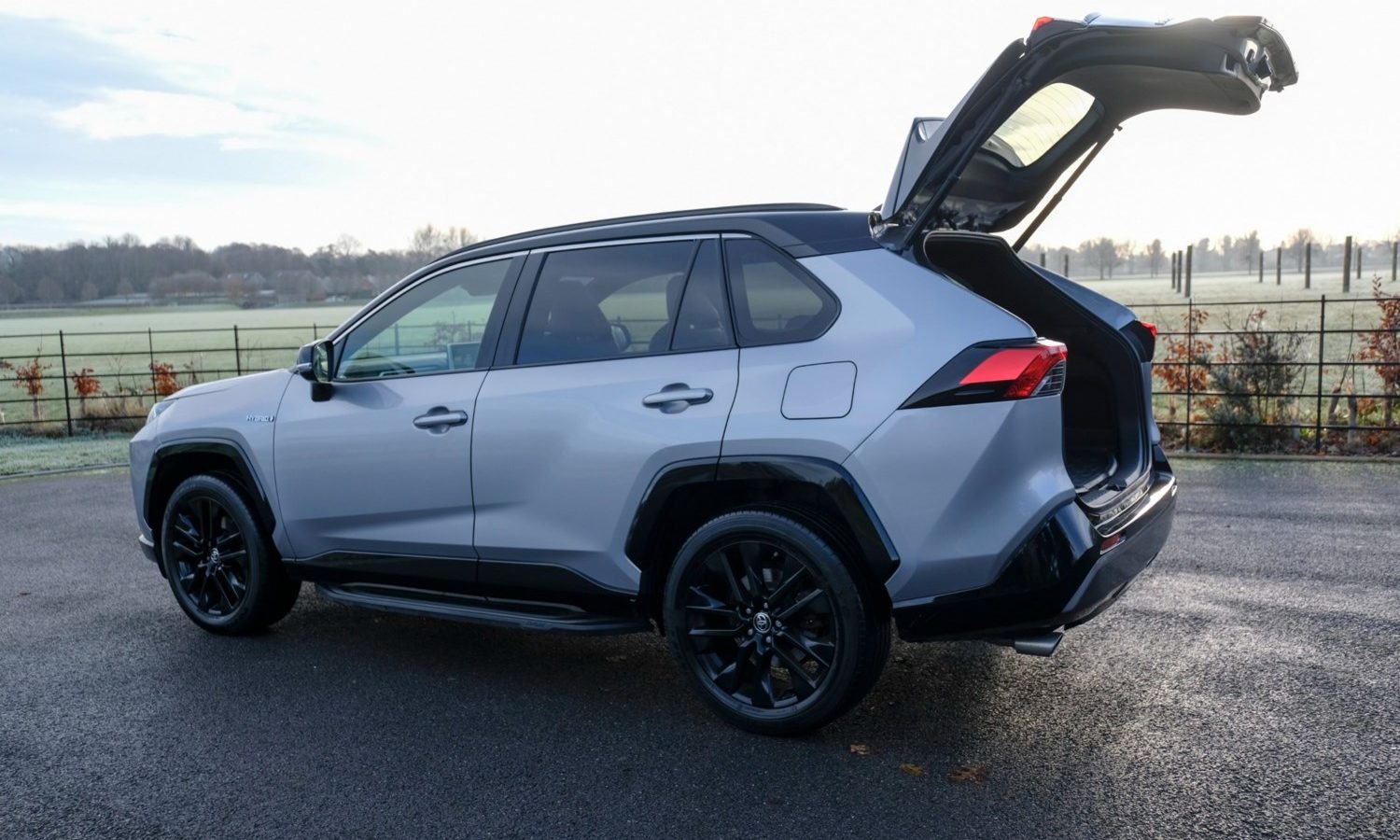 2021 Toyota RAV4 2.5 VVT-i Hybrid Dynamic 5dr CVT for sale at Hofmanns