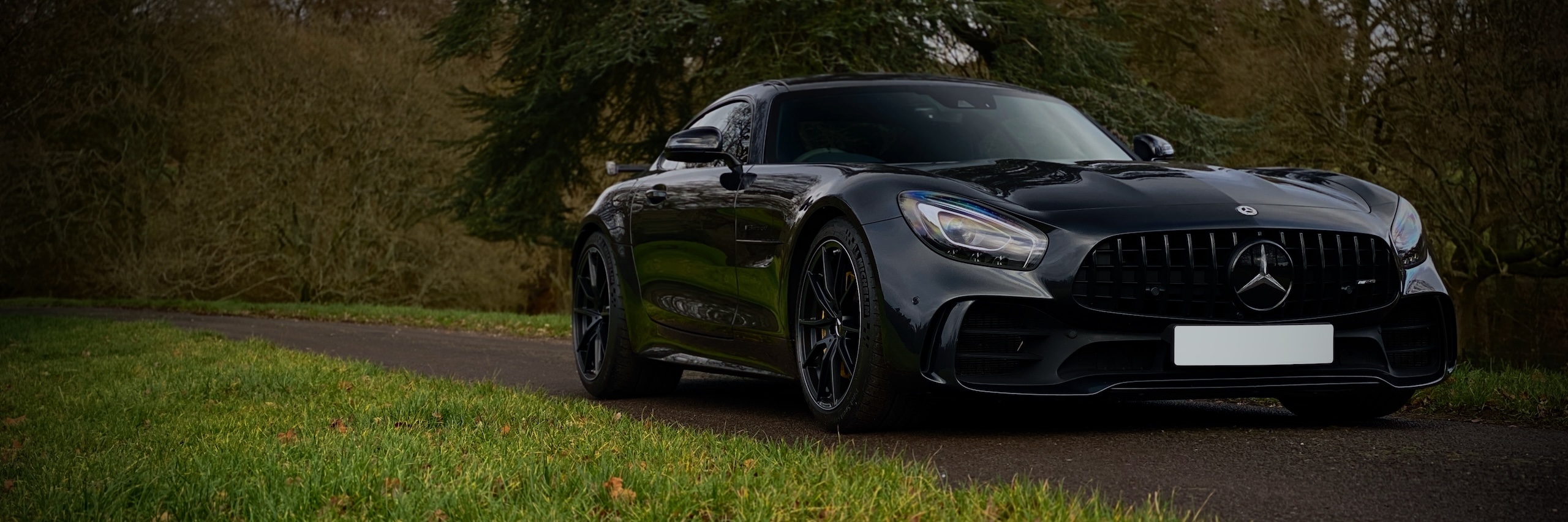 AMG_Sales_Header-1